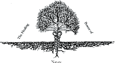 holistic medicine